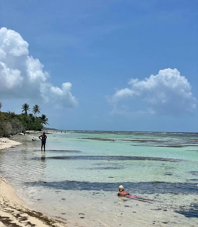 Villa Paradis - Vue Mer, Piscine, Jacuzzi Et Acces A La Plage Gros Sable Sainte-Anne  Sainte-Anne (Grande-Terre)