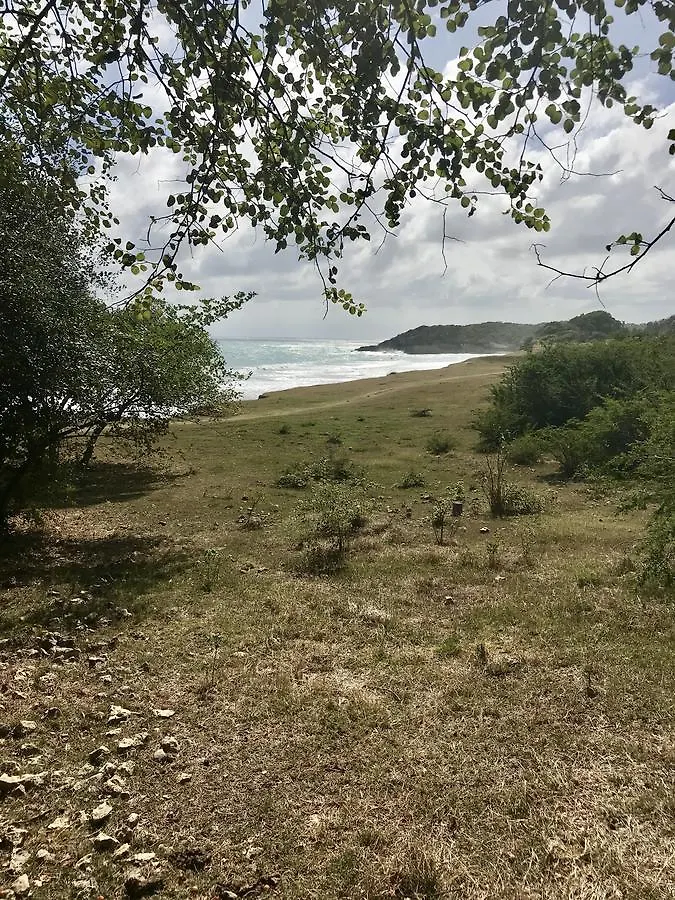 Villa Paradis - Vue Mer, Piscine, Jacuzzi Et Acces A La Plage Gros Sable Sainte-Anne   Sainte-Anne (Grande-Terre)